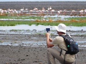 Photographing Lake Natron flamingos