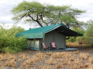 Standard tent at Halisi Natron