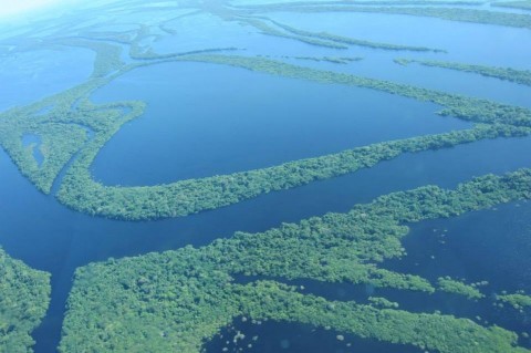 Brazil Amazon