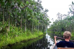 3-Day Muyuna Lodge Iquitos Amazon Lodge Excursion