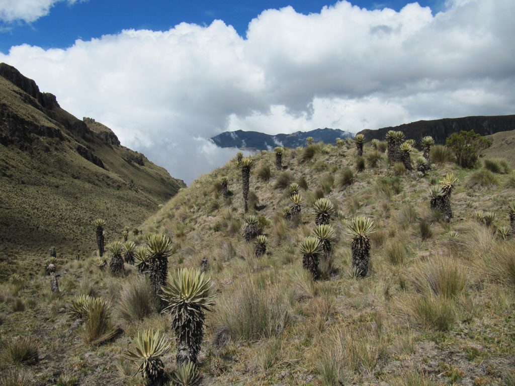 Colombia