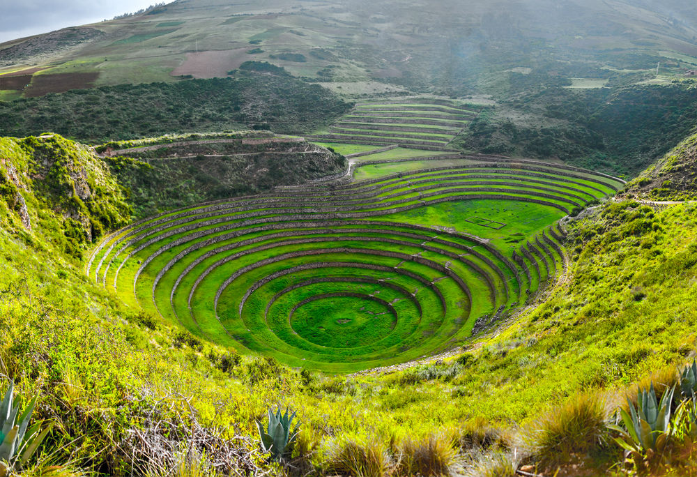 Moray