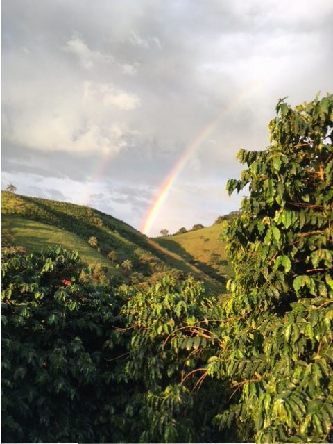 Minas Gerais