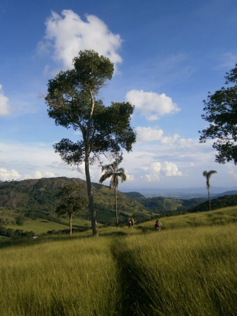 Minas Gerais