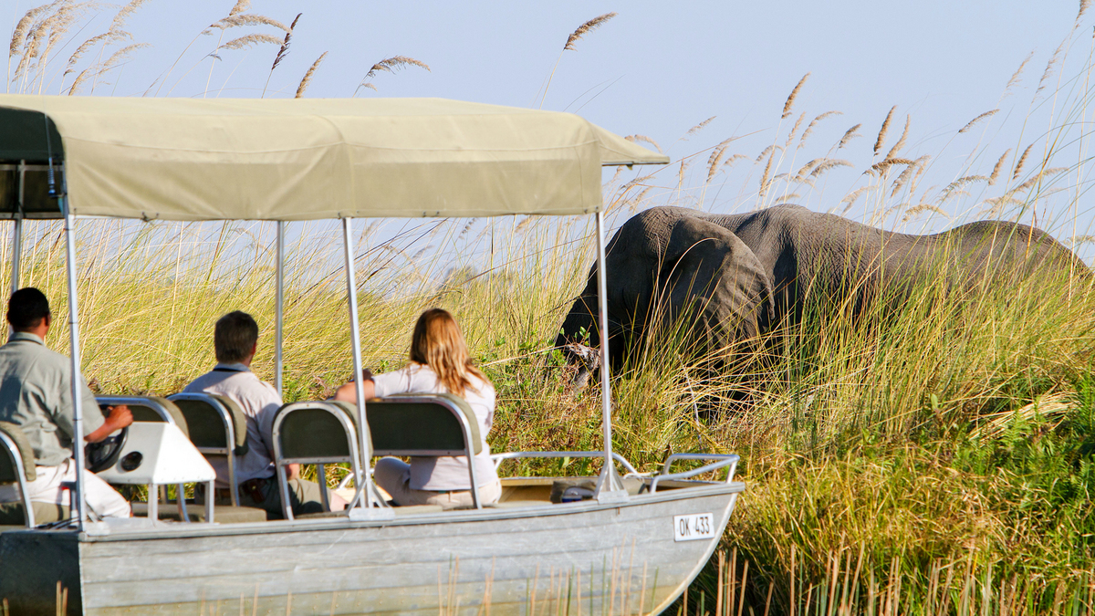 9-Day Botswana Safari and Victoria Falls