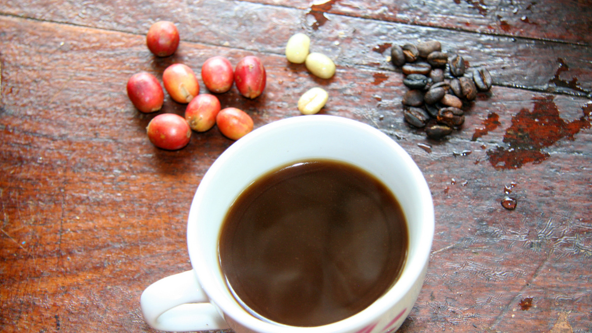 1-Day Coffee Plantation and Local Village Visit
