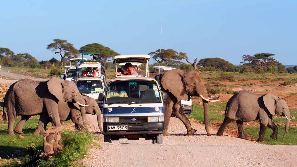 8-Day Masai Mara, Lake Nakuru, Samburu, Aberdares