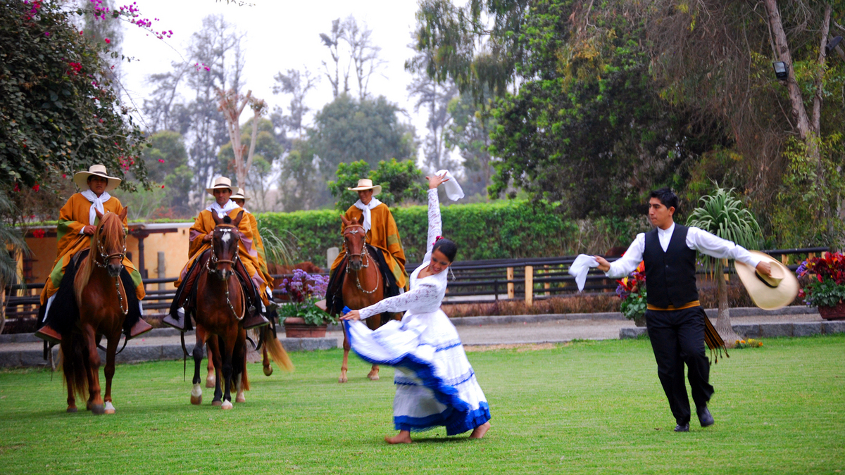 1-Day Peruvian Paso Horse Show in Lima
