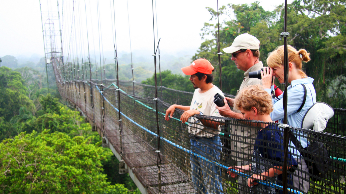 4-Day Amazon Rainforest at Sacha Lodge