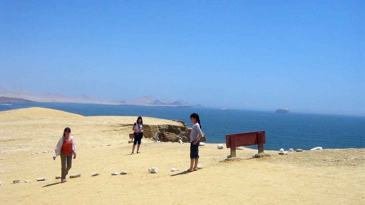 1-Day Paracas and Ballestas Day Tour