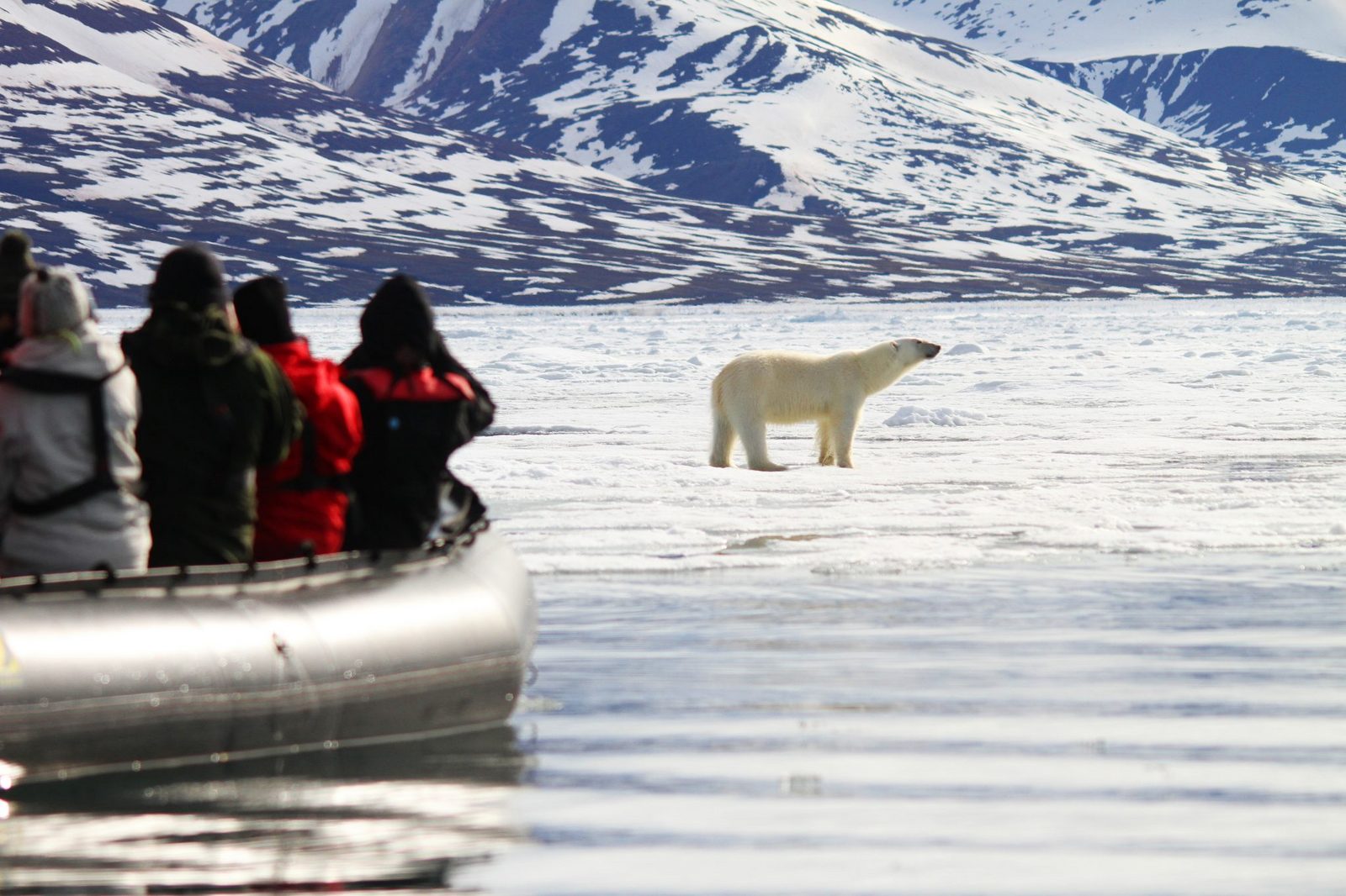 travel trade and tourism in arctic ocean