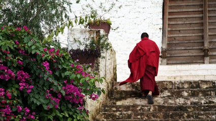 7-Day Cultural Tour to Paro, Thimphu, Punakha