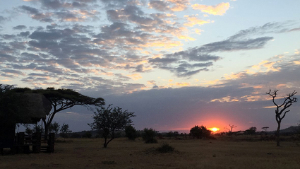 3-Day Short Serengeti Fly In Safari