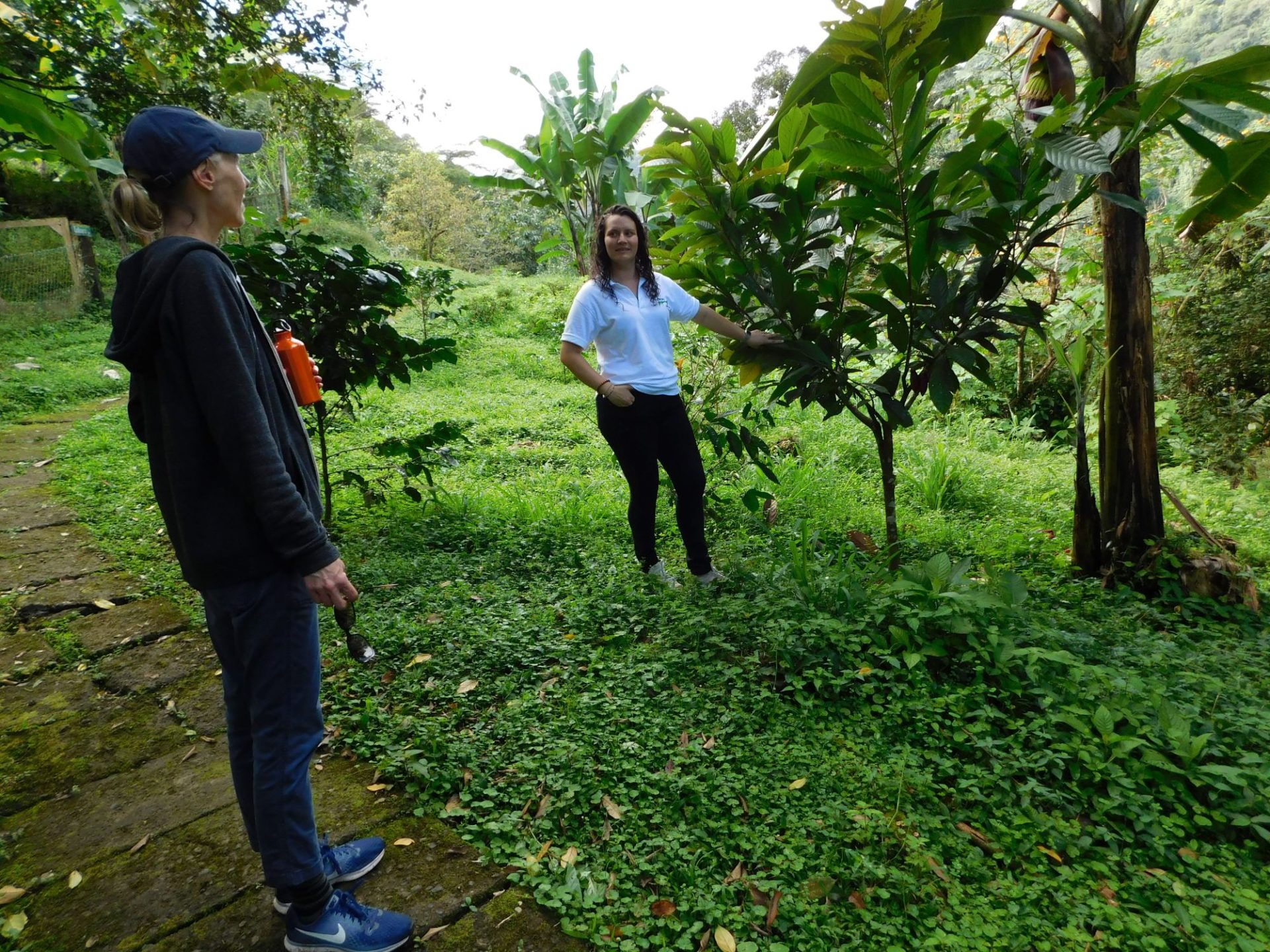 wp-content/uploads/itineraries/Costa-Rica/Day3OTGRanchoMargotfarmtour.jpg