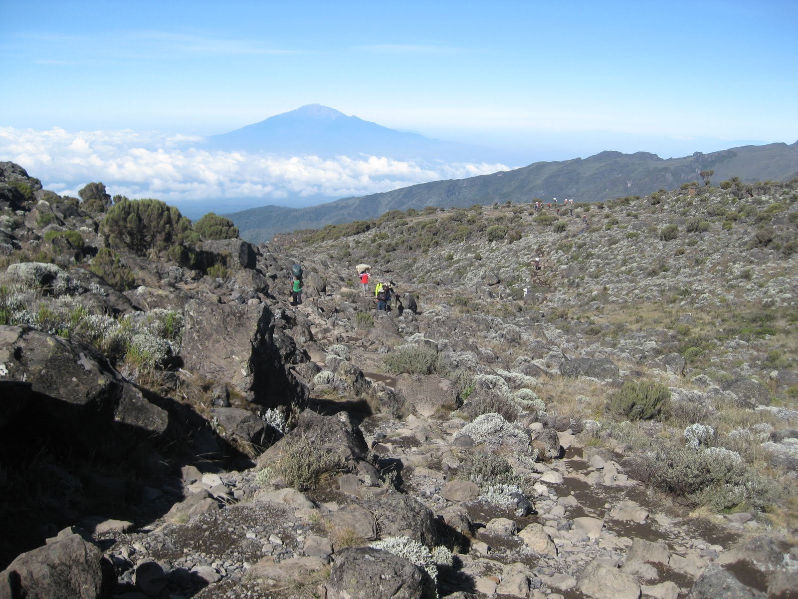 wp-content/uploads/itineraries/Kilimanjaro/kili-machame-day3.jpg