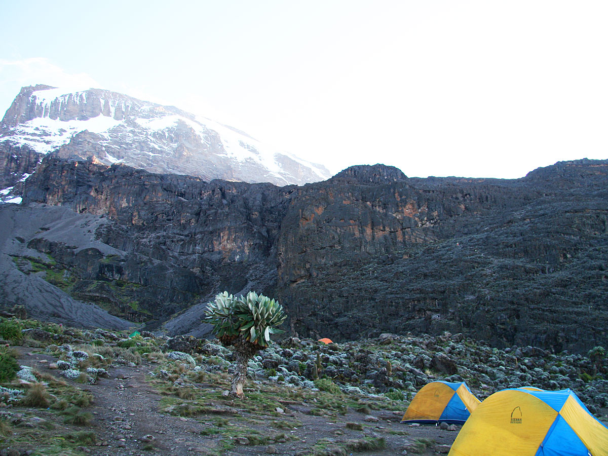 wp-content/uploads/itineraries/Kilimanjaro/kili-machame-shira-camp.jpg