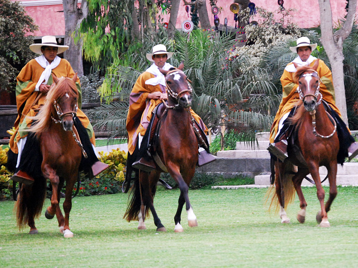 wp-content/uploads/itineraries/Peru/peru-paso-horse-2.jpg