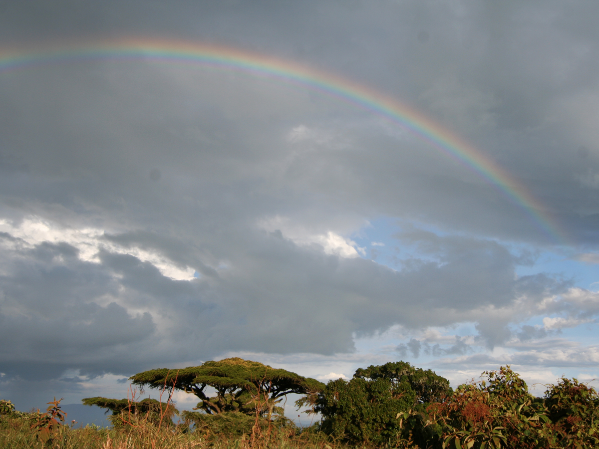 wp-content/uploads/itineraries/Safari/safari-rainbow.jpg