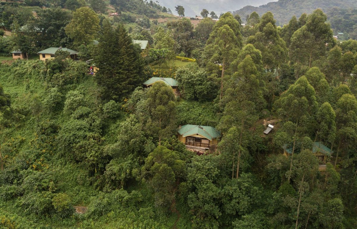 wp-content/uploads/lodging/Uganda/gorilla-safari-lodge-outside-2.jpg